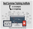 Clear Your Doubt Through Summer Training In Our Best Institu